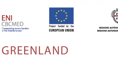 GREENLAND PROJECT: Job Vacancy selection notice for a junior expert in the field of project management