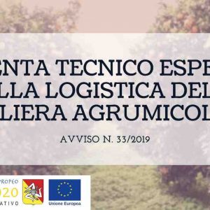Riapertura termini avviso 33/2019. Corso per diventare Tecnico esperto della logistica della filiera agrumicola: 1 posto