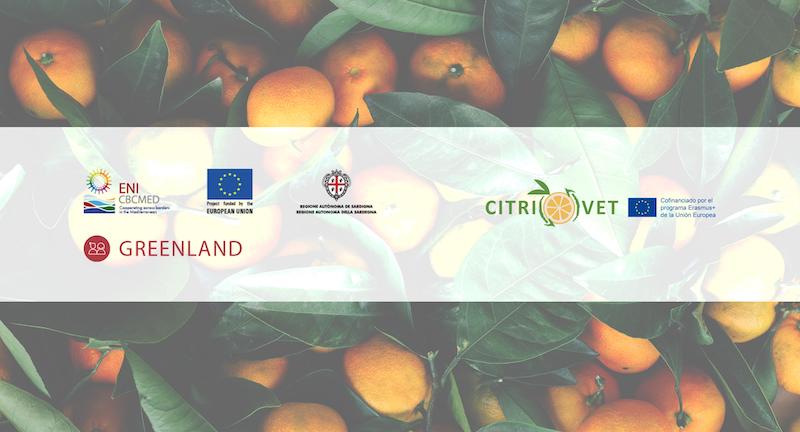 GREENLAND e CITRIVET insieme per trasferire pratiche innovative per la valorizzazione degli scarti di agrumi