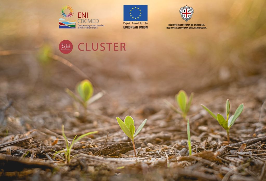 Progetto CLUSTER