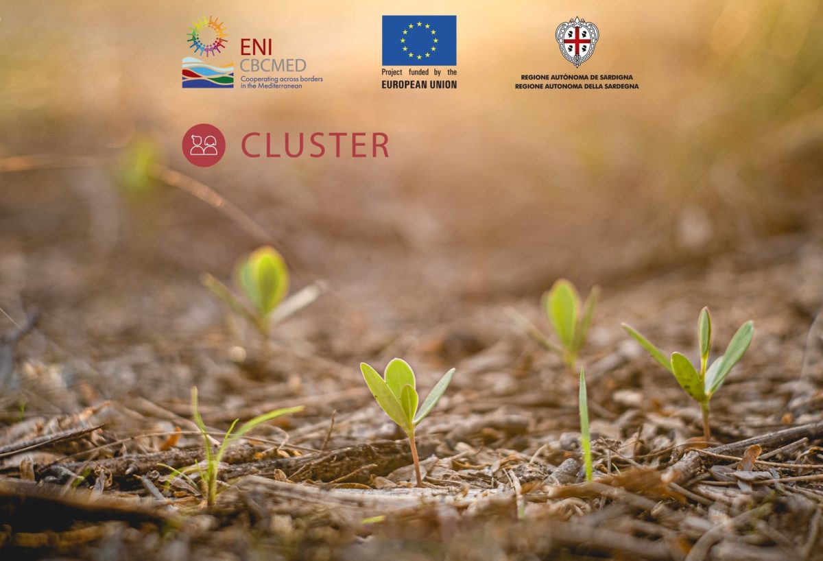 Entra nel Green Network di CLUSTER: ecco il questionario per attori socio-economici siciliani