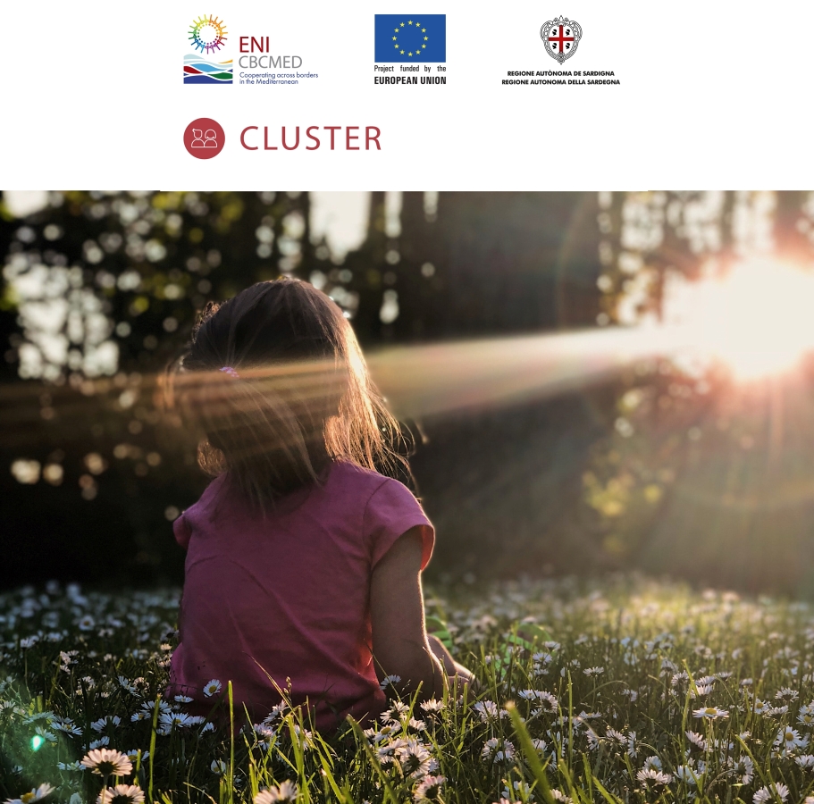 CLUSTER – advanCing youth and women sociaL inclUSion in The MEditeRranean