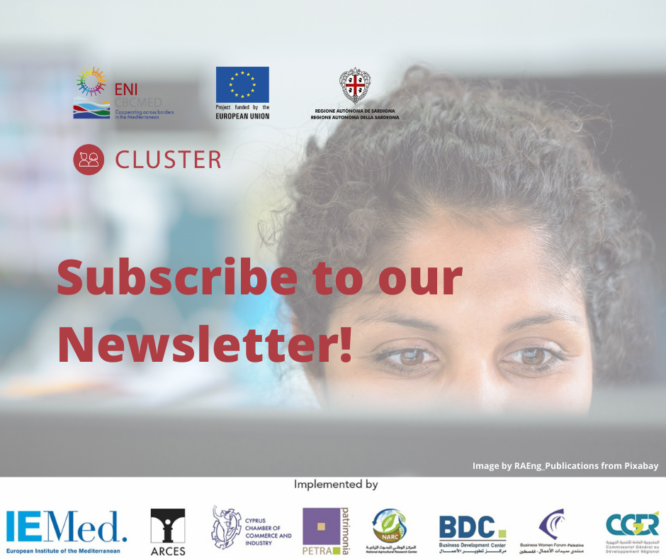 CLUSTER lancia la sua prima Newsletter per informare sulle sue attività per rafforzare l’Inclusione Sociale dei giovani e delle donne nel Mediterraneo