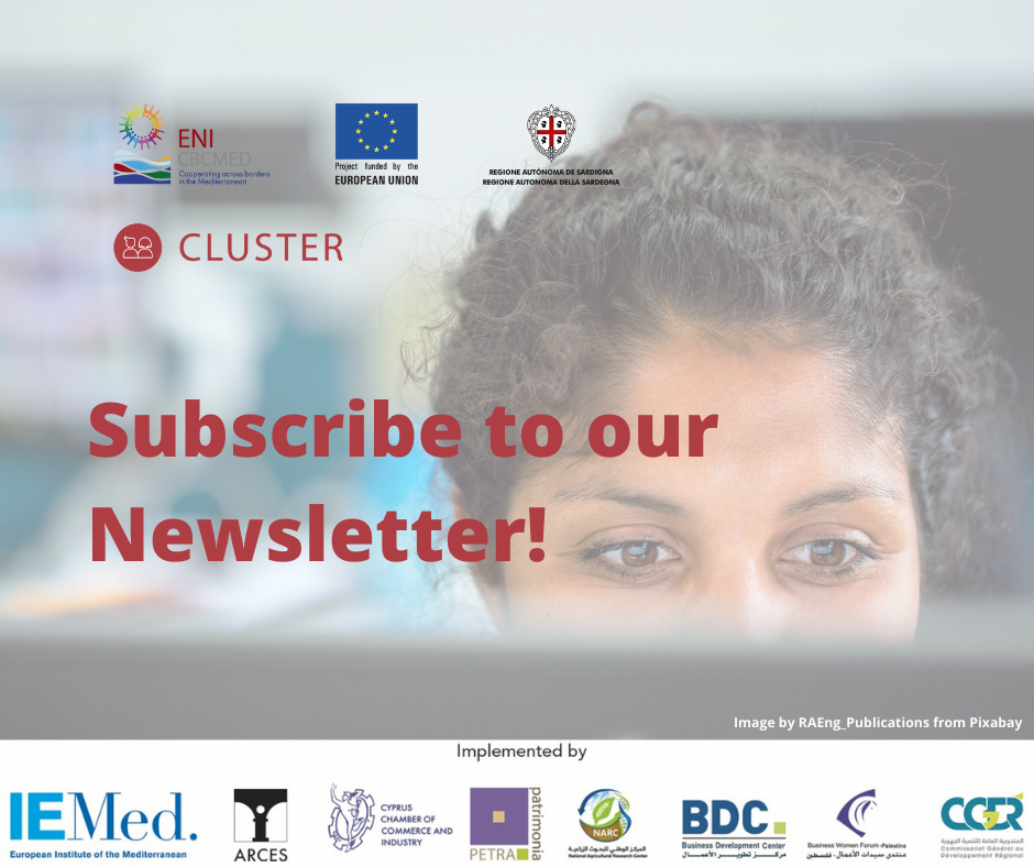 Prima newsletter di cluster