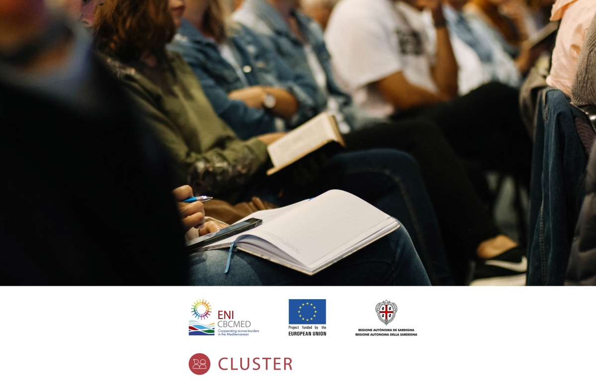 CLUSTER lancia un’indagine sui bisogni del mercato del lavoro dei giovani, delle donne e degli operatori socio-economici del Mediterraneo