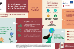 CLUSTER_IEMed_infografica_IT