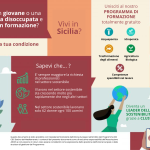 CLUSTER in Sicilia lancia i suoi corsi di formazione gratuiti nei settori dell’Economia Sostenibile rivolti a giovani e donne disoccupati!