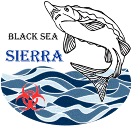 Sierra