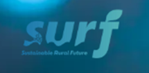 surf